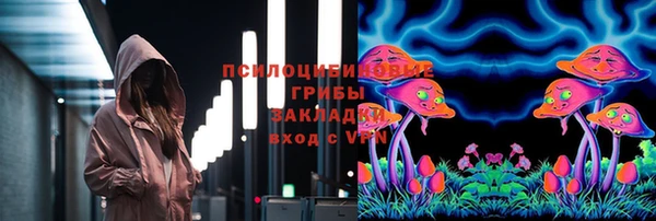 дмт Алексин