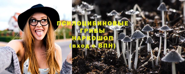 дмт Алексин