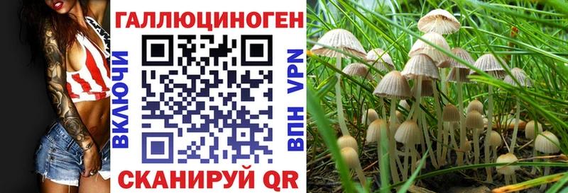 Галлюциногенные грибы MAGIC MUSHROOMS  Купить где  Елабуга 